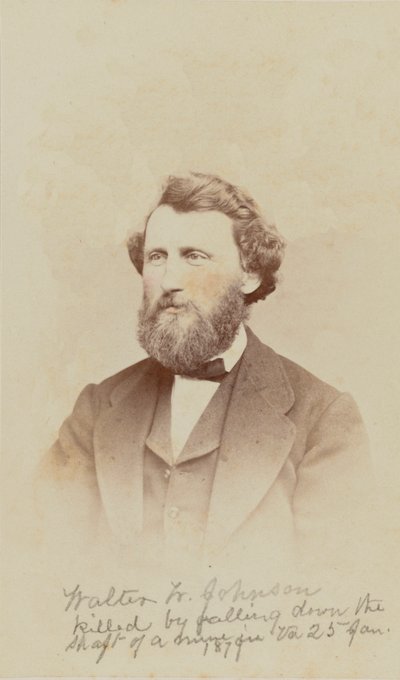 Ritratto di Walter W. Johnson, 1868 da Henry Ulke