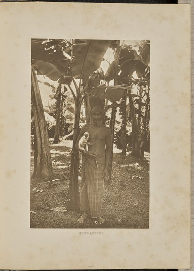 Compagni da Henry W. Cave