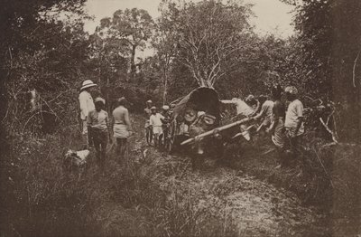Città rovinate di Ceylon: In viaggio verso Polonnaruwa da Henry W. Cave