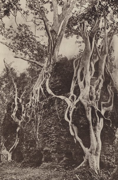 Città rovinate di Ceylon: Kotuwa da Henry W. Cave