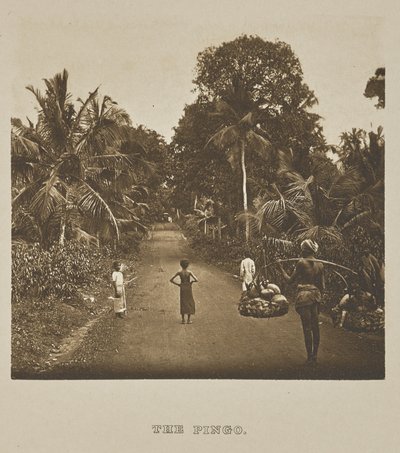 Il Pingo da Henry W. Cave