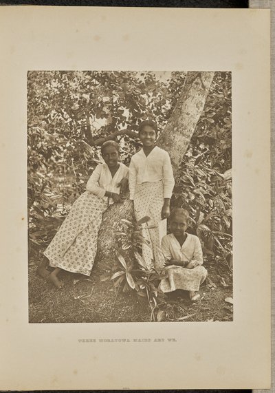 Tre cameriere Moratowa siamo noi da Henry W. Cave