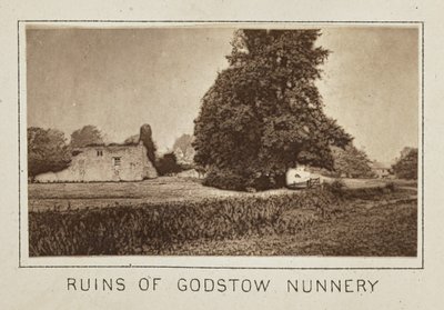 Rovine del convento di Godstow da Henry W. Taunt