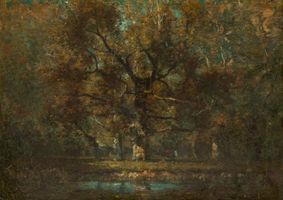 Quercia da Henry Ward Ranger