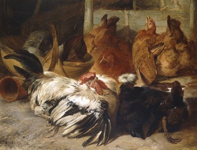 Un Gallo Rosecomb Grigio-Argento e una Polonia Nera con Cresta Bianca con Due Galline Buff da Henry Weekes