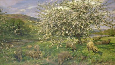 Immagine sconosciuta da Henry William Banks Davis