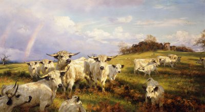 Bovini Selvatici di Chartley, Castello di Chartley sullo Sfondo, 1902 da Henry William Banks Davis
