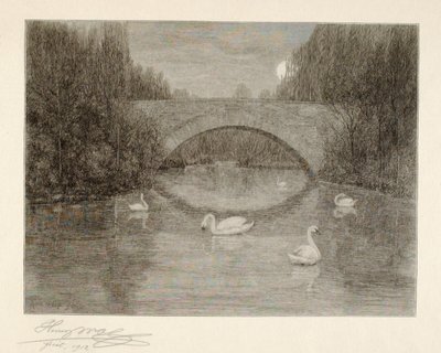 Sera, Lago dei cigni, Central Park, New York da Henry Wolf