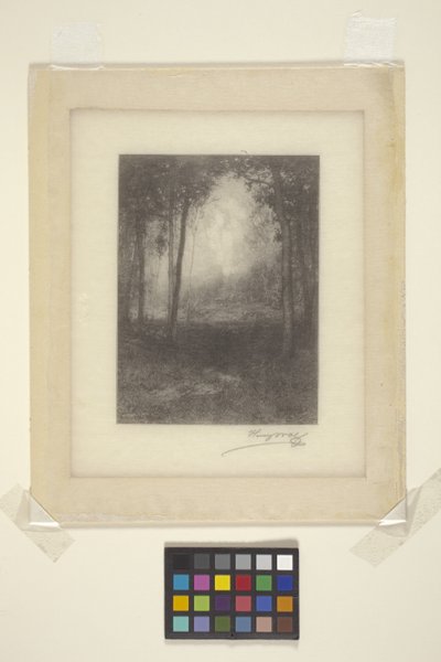 Negli Adirondacks da Henry Wolf