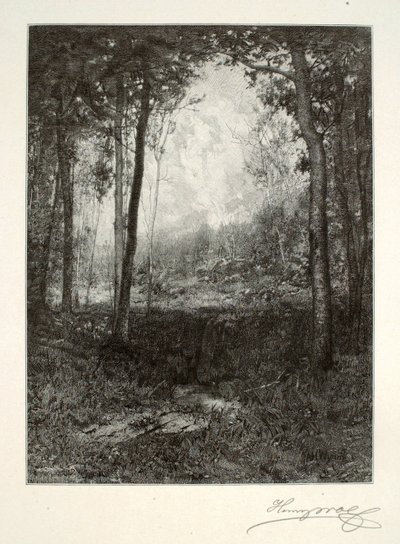 Negli Adirondack da Henry Wolf