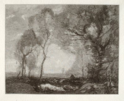 Paesaggio da Henry Wolf