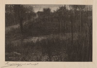 La stella della sera da Henry Wolf