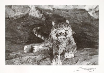 Tigre da Henry Wolf