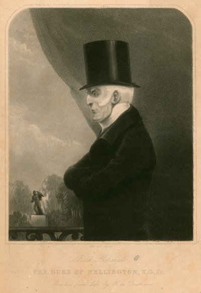 Il Duca di Wellington da Henry de Daubrava
