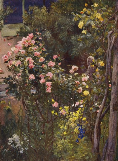 In un giardino di rose, Catherine Mermet e Marechal Niel a casa da Herbert Arnould Olivier