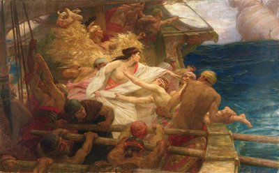 Il vello d
