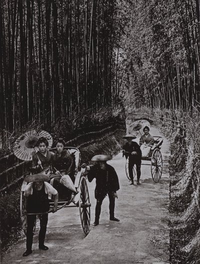 Un Viale di Bambù a Kyoto da Herbert Ponting