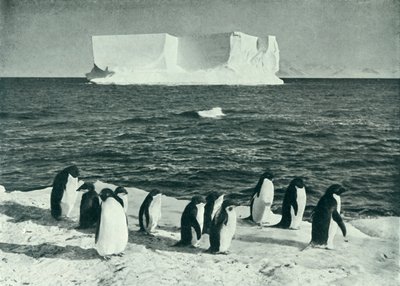 Un iceberg alla deriva nel McMurdo Sound da Herbert Ponting