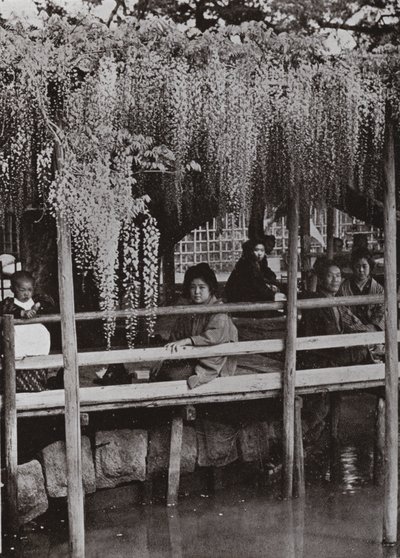 Un pergolato di glicine a Kameido da Herbert Ponting