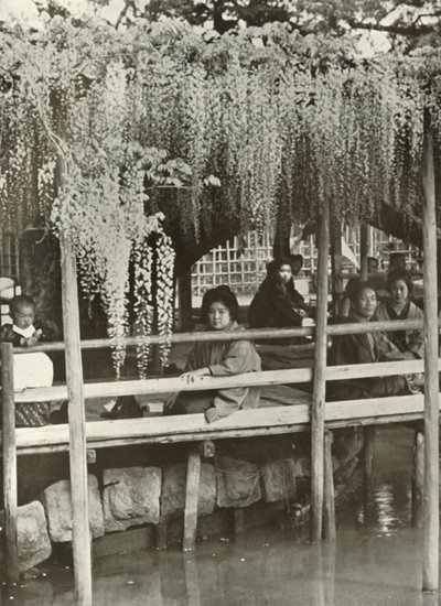 Un pergolato di glicine a Kameido da Herbert Ponting