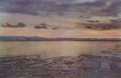 Un bagliore di aprile, 1 aprile 1911, 1913 da Herbert Ponting