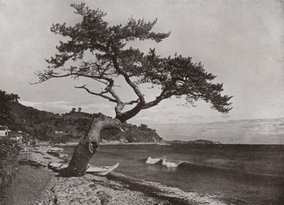 Atami da Herbert Ponting