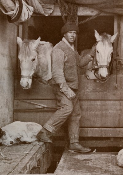 Capitano Oates e Pony sulla Terra Nova, c1910-1912 da Herbert Ponting