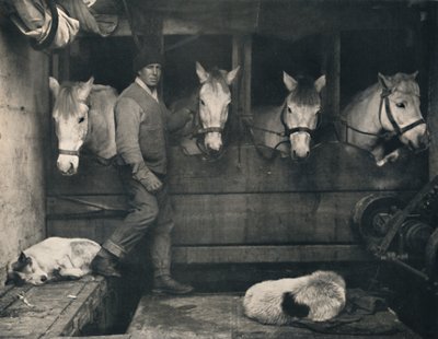 Capitano Oates sulla Terra Nova con i pony siberiani da Herbert Ponting