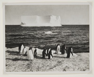 Iceberg alla deriva al largo di Cape Royds da Herbert Ponting