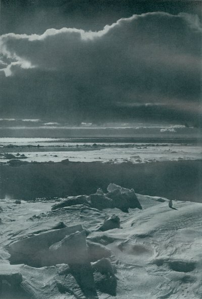 Scena serale nel parco, c1910-1913, 1913 da Herbert Ponting