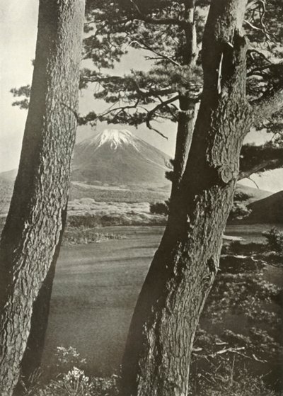 Il Monte Fuji attraverso i pini del Lago Motosu, 1910 da Herbert Ponting