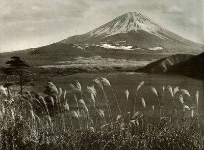 Fuji e l