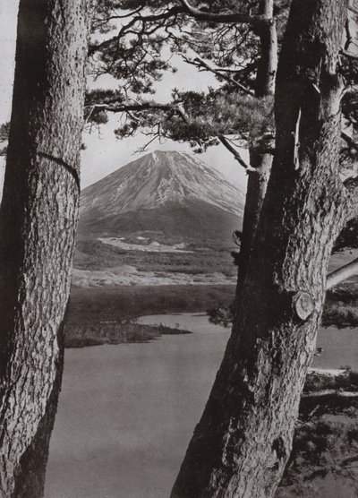 Il Monte Fuji e i Pini da Herbert Ponting