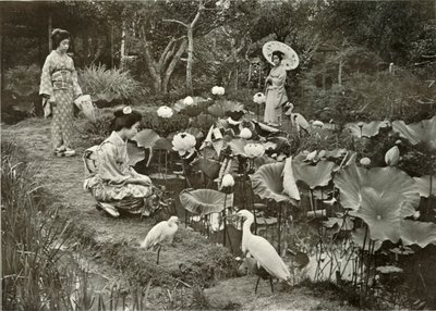 Nella Terra dei Loti, 1910 da Herbert Ponting