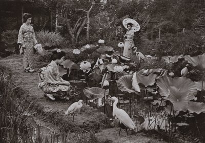 In un Giardino di Loto da Herbert Ponting