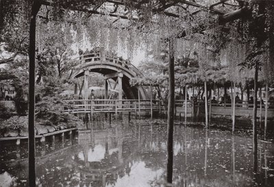 Kameido da Herbert Ponting