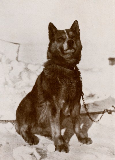 Krisravitsa, c1910-1913, 1913 da Herbert Ponting