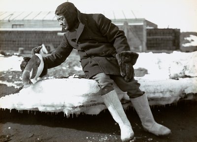 Uomo con un pinguino durante la spedizione inglese in Antartide da Herbert Ponting
