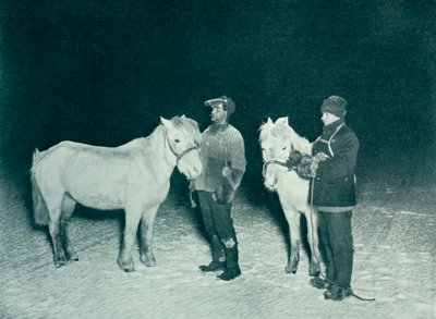 Sottufficiali Crean ed Evans che esercitano i loro pony in inverno, 1911 da Herbert Ponting