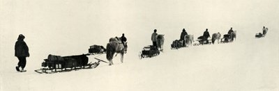 Pony in marcia, 1911, 1913 da Herbert Ponting