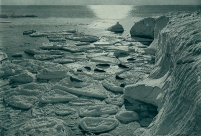Foche che si crogiolano sul ghiaccio appena formato al largo di Cape Evans, c. 1910-1913, 1913 da Herbert Ponting