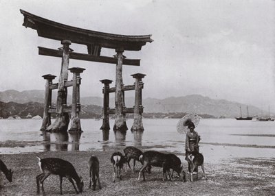 Il vecchio Torii a Miyajima da Herbert Ponting