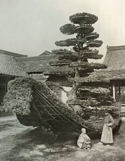 La Giunca del Pino a Kinkakuji da Herbert Ponting