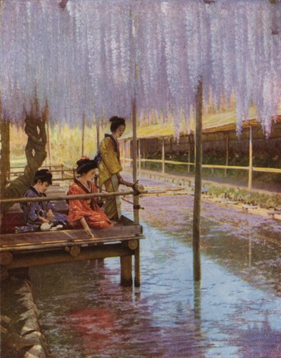 Sotto i glicini viola da Herbert Ponting