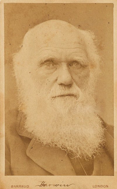 Ritratto di Charles Darwin, 1881 da Herbert Rose Barraud