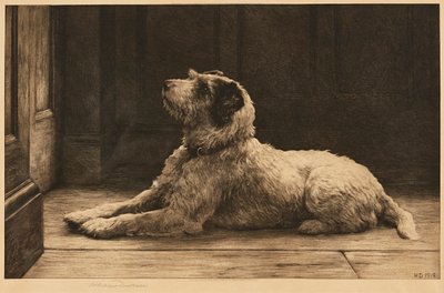 Dov