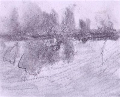 Un gruppo di alberi riflessi nell