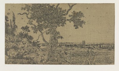 Paesaggio con una quercia e una vista lontana da Hercules Segers