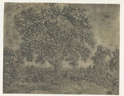Il Grande Albero da Hercules Segers