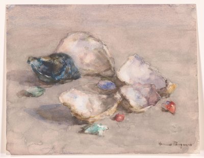 Conchiglie sulla spiaggia da Herman Bogman (signed by artist)